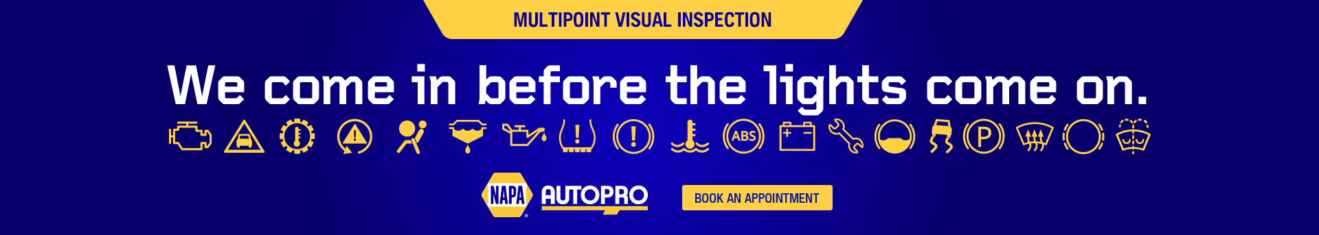 NAPA Multipoint Visual Inspection