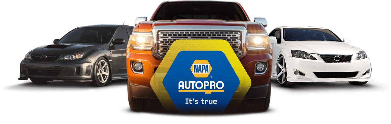 Makes and Models Image